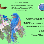 УМК "Перспективная начальная школа"2 классТема: "Птицы"