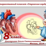 Интерактивный плакат "Строение сердца"