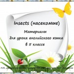 Insects (насекомые). Материалы  для урока английского языка в 5 классе