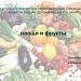 обобщение понятий :овощи и фрукты