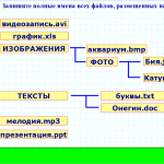 Программное обеспечение. Файл.