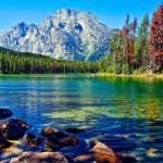 Живая и неживая природа	