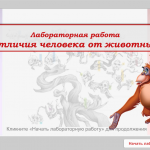 Лабораторная работа - тест. Отличия человека от животных