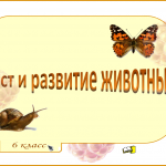 Рост и развитие животных (6 класс)