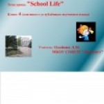 школьная жизнь