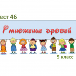 Тест 46 «Умножение дробей» 