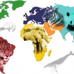 "Endangered species"