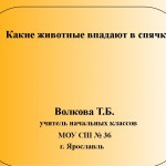 Какие животные впадают в спячку.