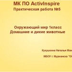 МК ПО ActivInspire.Практическая работа №5