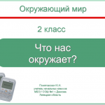 Что нас окружает? (2 класс, тест)