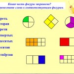 КОНКУРС Доли