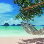 Информация–Информатика–Компьютер. Техника безопасности и организация рабочего места.