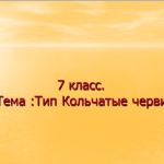 Кольчатые черви