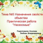 "Насекомые"