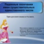 Падежные окончания имен существительных единственного числа. Урок обобщения