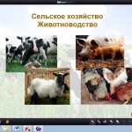Сельское хозяйство. Животноводство