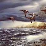  Перелётные птицы