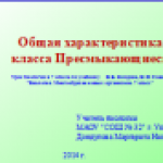 Общая характеристика класса Пресмыкающиеся.