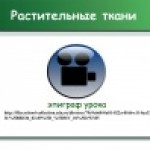 Презентация Notebook "Растительные ткани"