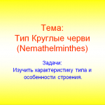 Круглые черви