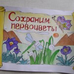 Сохраним первоцветы