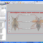 Пакет ресурсов "Выпадающие списки"