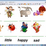 Big, little, fat, sad