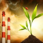 «Давайте вместе заботиться о нашей планете Земля!»