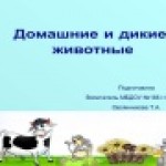 Домашние и дикие животные