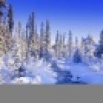 "Олимпийские игры"