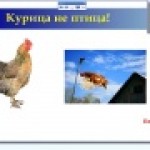 Домашние животные.Курица.