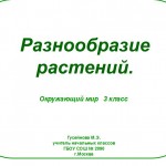 Разнообразие растений. 3 класс