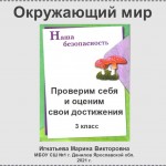 Проверочная работа "Наша безопасность"