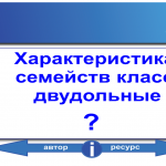 Характеристика семейств класса двудольные