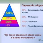 Пирамида здоровья