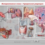 Интерактивные схемы "Гуморальная регуляция". Часть 1