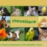Haustiere und ihre Kennzeichen
