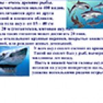 Л. Н. Толстой. Акула 