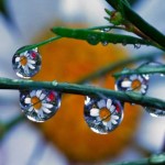 Презентация к уроку окружающего мира  "Природные явления"