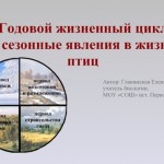 Годовой жизненный цикл и сезонные явления в жизни птиц.