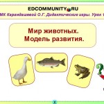 “МК Дидактические игры. Урок 1. Мир животных. Модели развития"