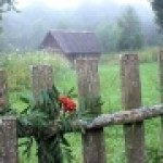 Видеоролик по стихотворению Тютчева `Умом Россию не понять`