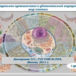 Виртуальное путешествие в удивительный внутренний мир клетки. Урок №2