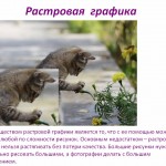 Компьютерная графика и области её применения. Понятие растровой и векторной графики.