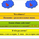 Разделительные мягкий и твердый знаки.