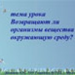 Круговорот веществ в природе
