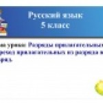 Разряды имен прилагательных. Переход прилагательных из разряда в разряд