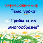 Грибы и их многообразие