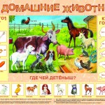 "Домашние животные"