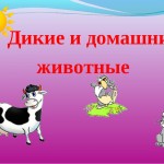 Дикиe и дoмашние животные